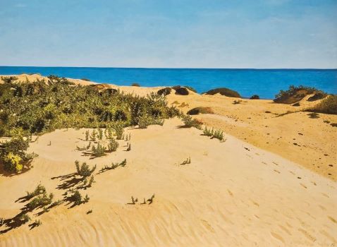Dunas 1